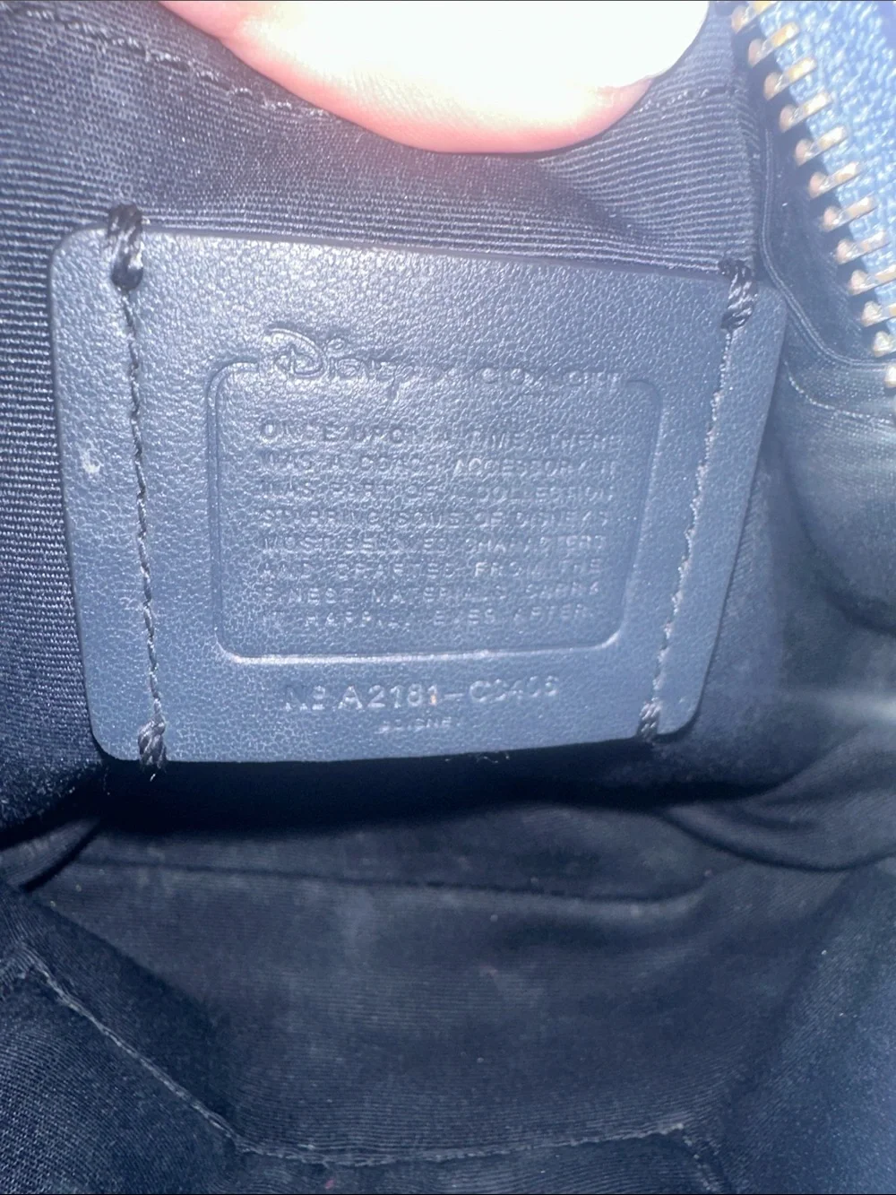 Coach Disney Blue Cinderella Leather Crossbody Bag C3406